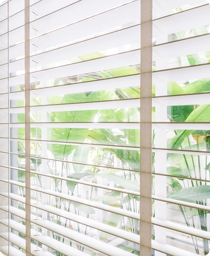 Honeycomb Shades